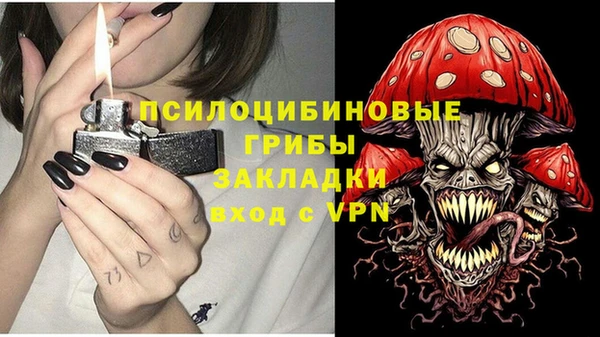 винт Богородицк