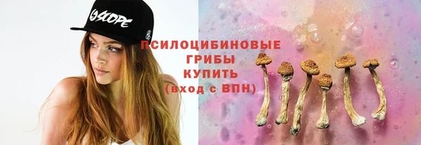 прущие грибы Беломорск