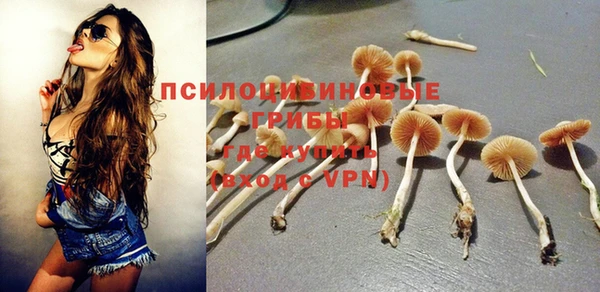 скорость Богданович