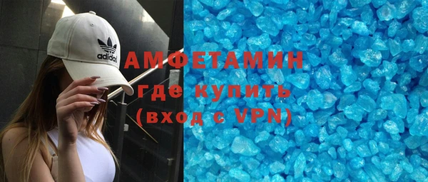прущие грибы Беломорск
