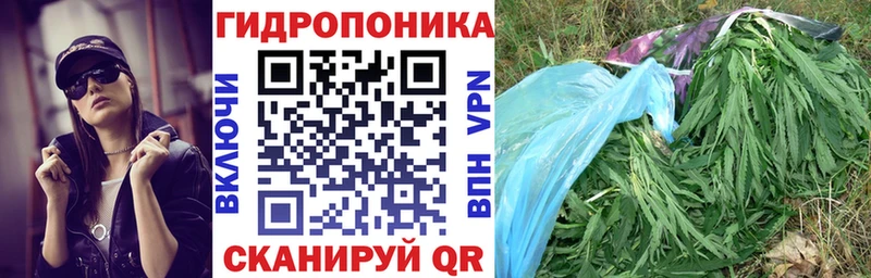 Бошки марихуана SATIVA & INDICA где продают наркотики Майкоп